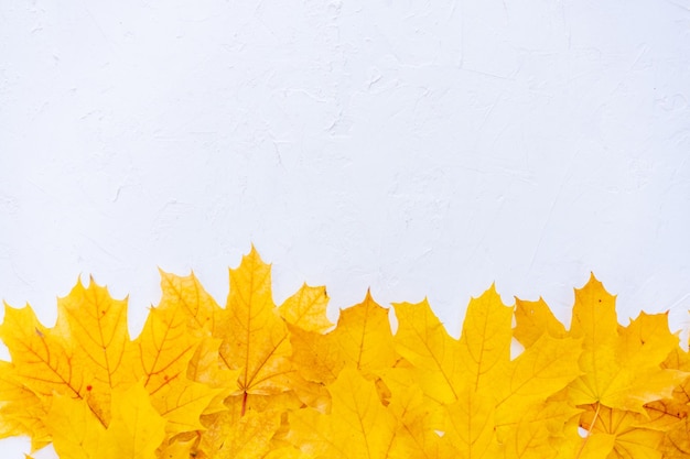 Frame de hojas de otoño en fondo blanco vista superior borde de otoño hojas amarillas y naranjas de cosecha