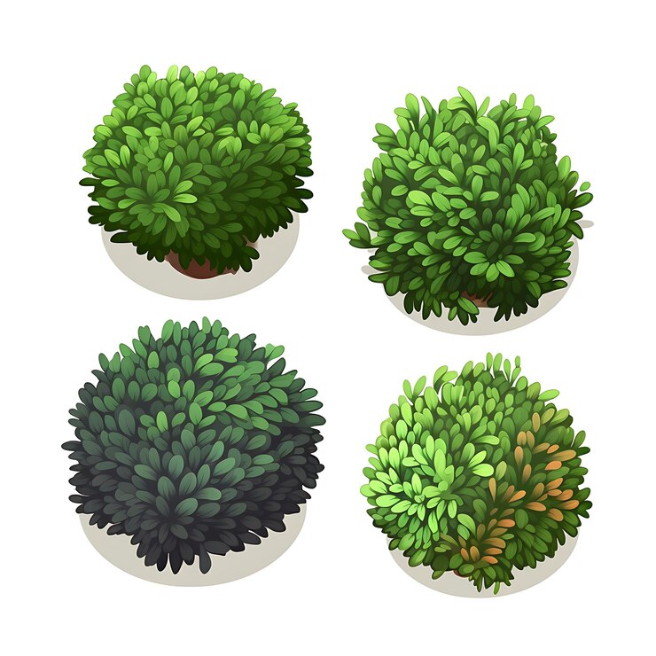 Foto frame juniper bushes esfera imperfeita forma de arbustos embelezado decorador de arte criativa 3d