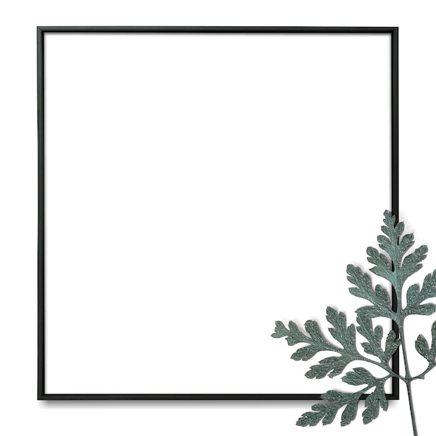 Frame negro de hoja de helecho con fondo transparente