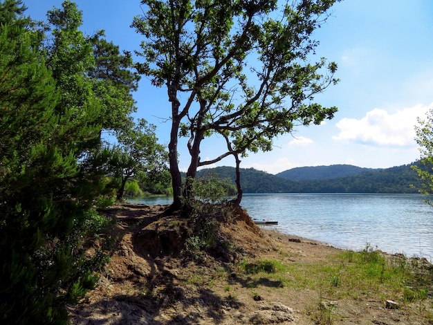 França Lago St Cassien