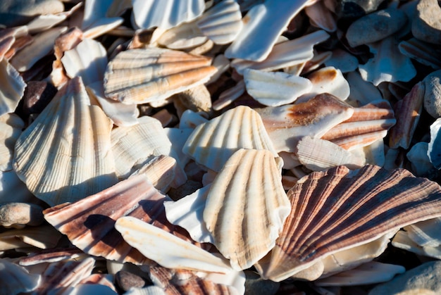 Foto francia y el atlántico