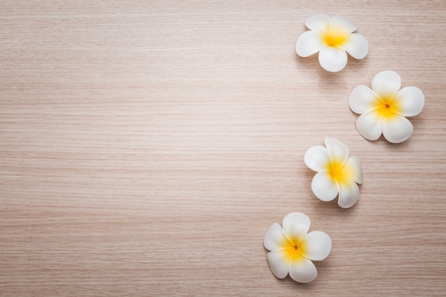 Frangipaniblumen auf weißem Hintergrund. Konzept für Spa-Hintergrund