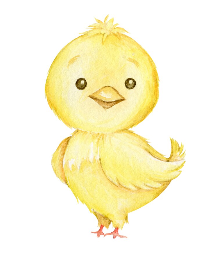 Frango, animal fofo, no estilo cartoon,