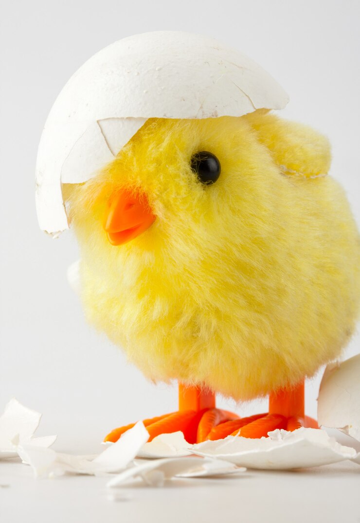 Foto frango bebê de brinquedo com casca de ovo