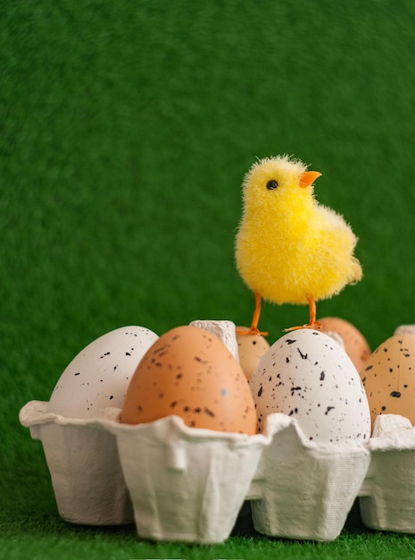 frango com ovos para fundo de páscoa