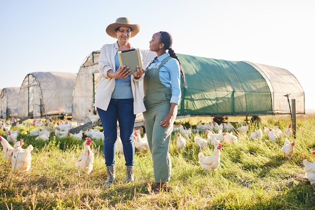 Frango de fazenda e mulheres em tablet no campo e natureza para o crescimento e ecologia de pequenas empresas Agricultura agricultura sustentável e agricultor em tecnologia digital para inventário de produção de aves