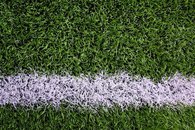 Foto franja blanca en el campo de fútbol verde