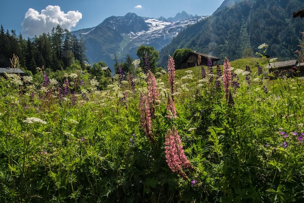 Französische Alpenlandschaft