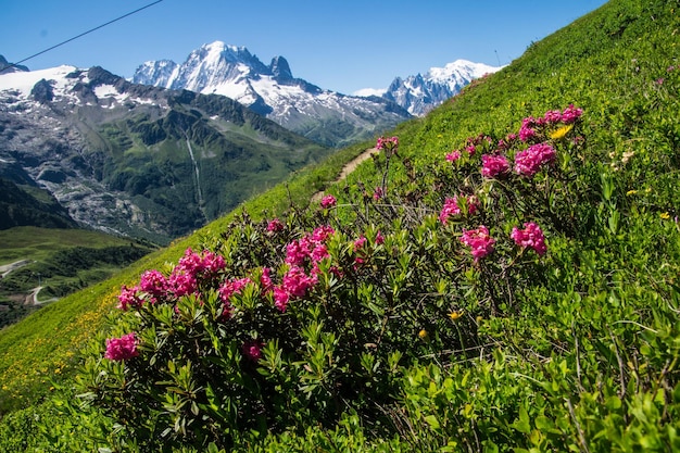 Französische Alpenlandschaft