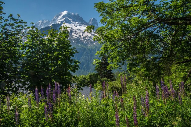 Französische Alpenlandschaft