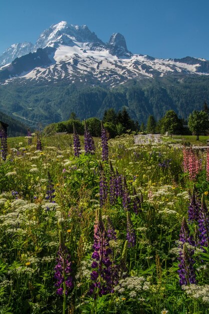 Französische Alpenlandschaft