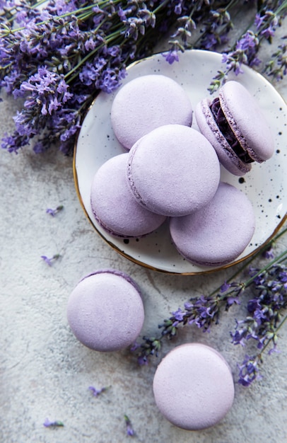 Französische Macarons mit Lavendelgeschmack und frischen Lavendelblüten auf Betonuntergrund