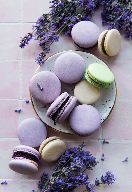 Französische Macarons mit Lavendelgeschmack und frischen Lavendelblüten auf Fliesenhintergrund