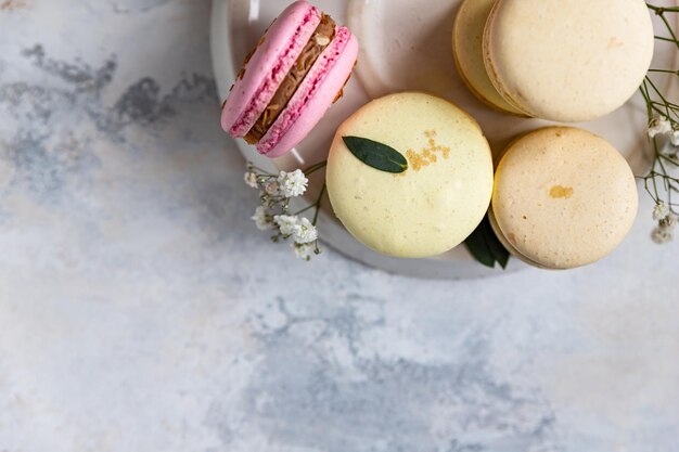 Französische verschiedene Macarons in Pastellfarben mit Gypsophila-Blumen auf grauem Betonhintergrund