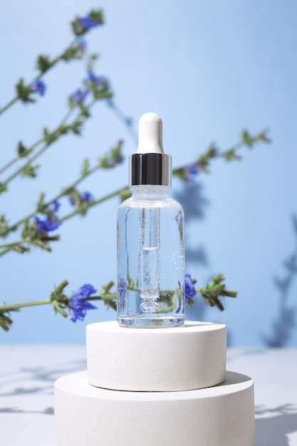 Frasco cosmético com pipeta conta-gotas com soro ou óleo essencial no pódio com flores de chicória Cosméticos com ingredientes naturais Conceito de beleza para cuidados com o corpo do rosto