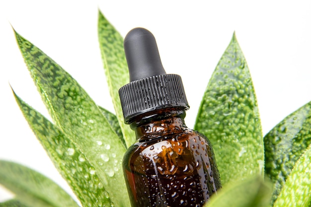 Un frasco cuentagotas de vidrio marrón con aceite esencial de suero u otro producto cosmético y un primer plano de una planta de flores tropicales verdes Concepto de belleza cosmética de Spa orgánico natural