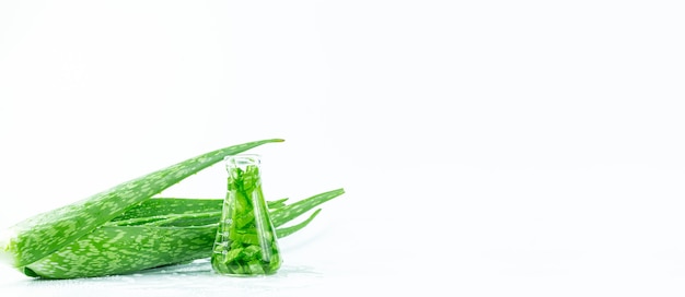 Frasco de aloe vera e extrato de folhas de aloe vera fresca com óleo essencial em fundo branco