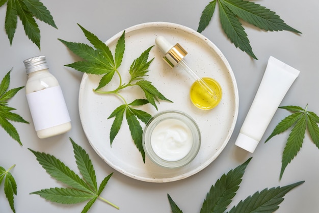Frasco de creme e pipeta perto de folhas verdes de cannabis sativa no prato na mesa cinza vista superior Produto de beleza orgânico para a pele Eco amigável CBD Cosmético