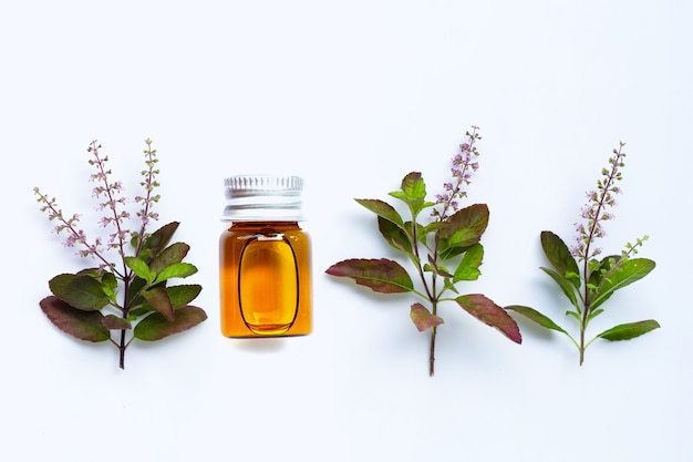 Frasco de óleo essencial com folhas frescas de manjericão sagrado e flores sobre fundo branco.