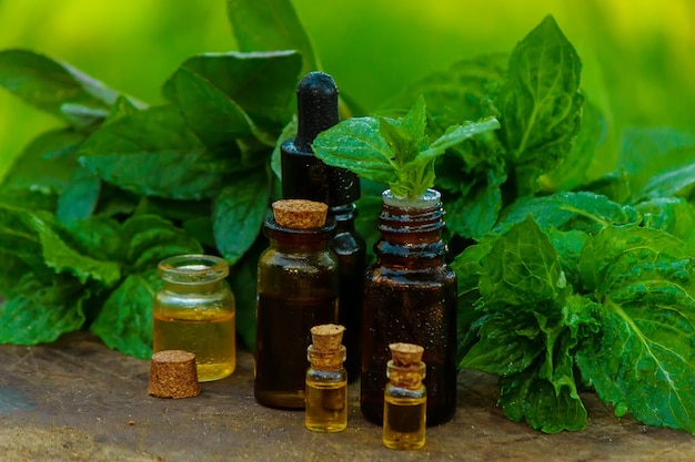 Frasco de óleo essencial de hortelã-pimenta com folhas de hortelã fresca, aroma de ervas em um frasco de vidro escuro. no toco. conceito de aromaterapia. foco seletivo