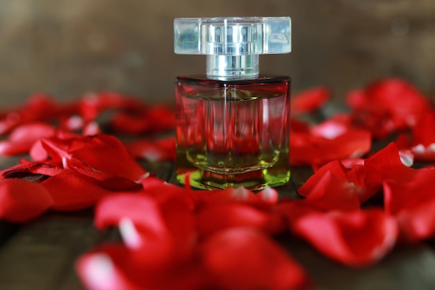 Foto frasco de perfume e pétalas