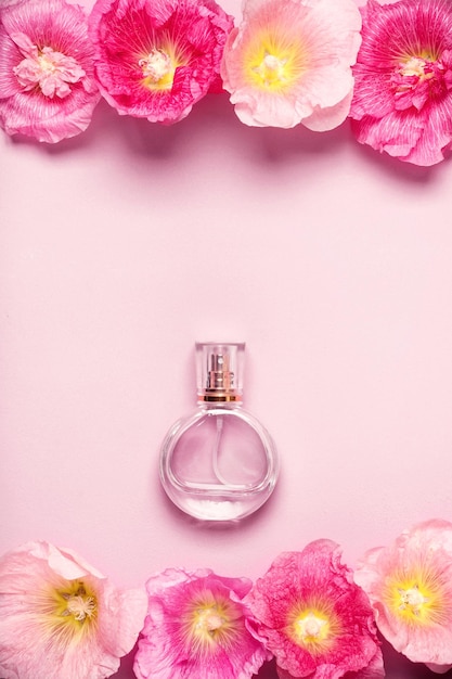 Frasco de perfume feminino e flores de malva rosa em fundo rosa. conceito de beleza minimalista