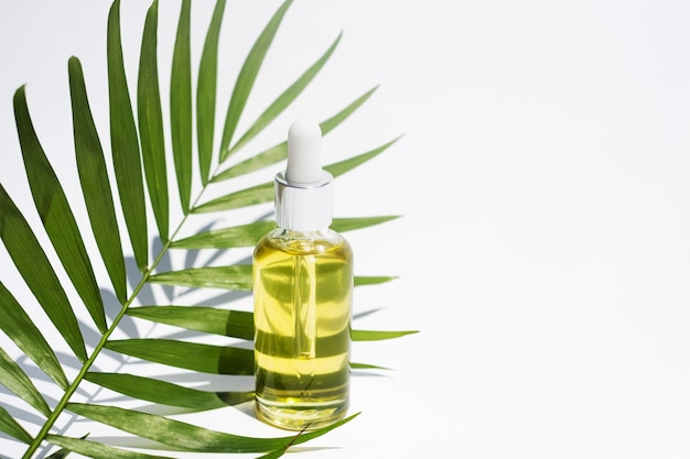 Frasco de soro ou óleo de cuidado folha de palmeira no fundo branco conceito de cuidados com a pele do rosto e do corpo aromaterapia óleo essencial