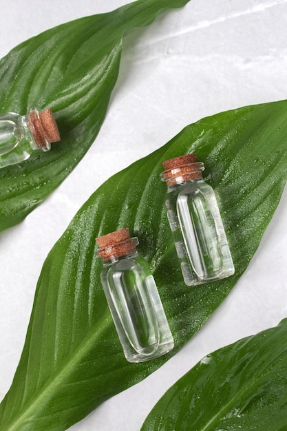Frasco de vidro de óleo essencial de aroma com folhas verdes Soro facial em garrafa Design de embalagem de óleos essenciais Soro de colágeno para beleza Conceito de beleza para cuidados com o rosto e corpo