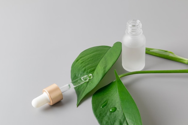 Frasco droppr de vidrio esmerilado con suero facial o cuerpo esencial sobre fondo gris con hojas verdes Cosméticos naturales para el cuidado de la piel Tendencia ecológica y embalaje ubranding