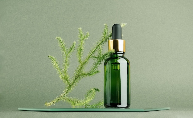 Un frasco gotero de vidrio y rama natural de musgo en espejo, fondo verde. Concepto cosmético de spa orgánico natural. Vista frontal.