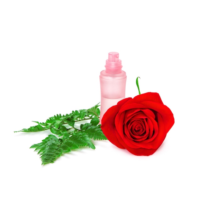 Frasco de perfume abierto con rosa roja fresca y hojas de helecho verde sobre fondo blanco