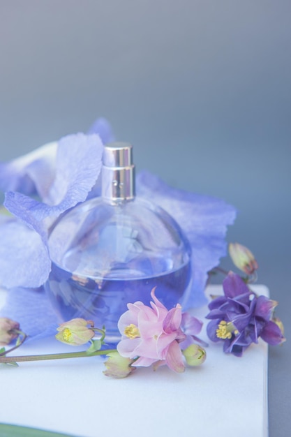 Frasco de perfume de círculo violeta sobre fondo gris