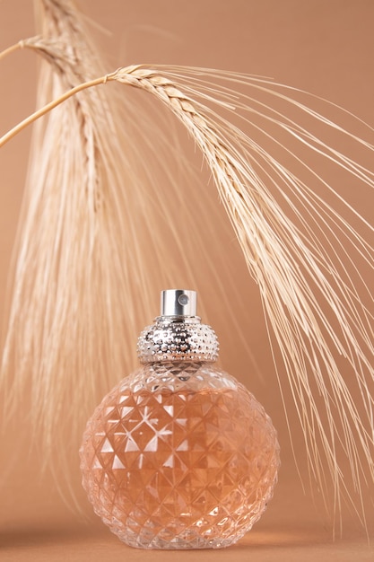 Frasco transparente de perfume sobre um fundo bege Apresentação da fragrância Conceito de tendência em materiais naturais com espiga de cevada Essência feminina