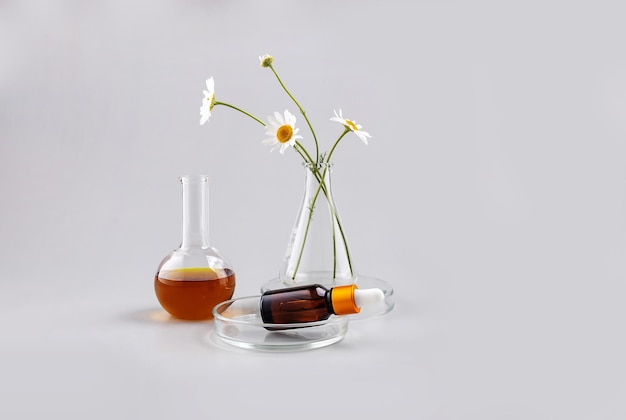 Frascos de laboratório com reagentes uma garrafa para flores de óleo essencial e camomila