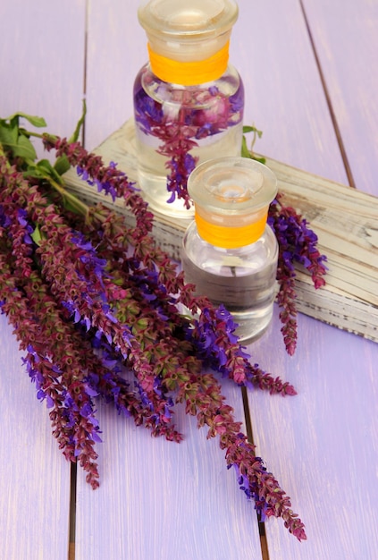 Frascos de remédios com flores de sálvia em fundo roxo de madeira