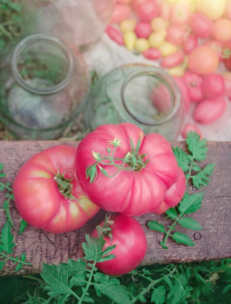 Frascos de vidro com tomates caseiros preservados ao ar livre Tomate de carne rosa