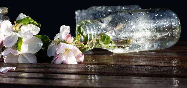 Frascos de vidro transparente e potes com água e flores de macieira em uma mesa de madeira rústica sob a queda de gotas de água. fundo escuro. copyspace