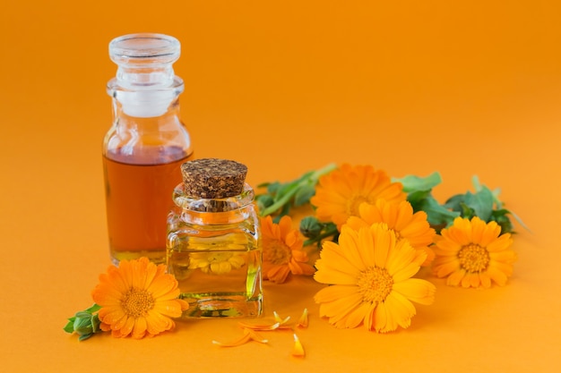 Frascos de tintura o infusión de caléndula y aceite esencial con flores frescas de caléndula sobre naranja