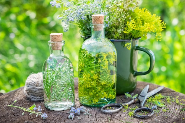 Frascos de tintura o infusión de hierbas curativas hierbas medicinales en taza sobre muñón Medicina herbaria