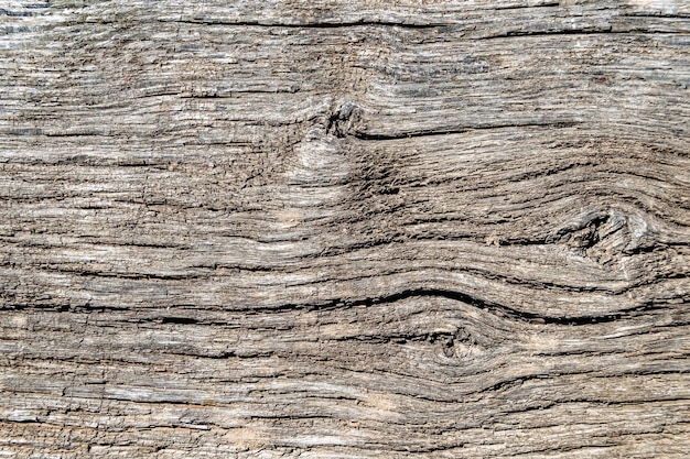 Fratura de madeira bonita de carvalho velho textura natural de perto textura composta de superfície velha fratura de madeira carvalho textura listrada de madeira carbalho velho decorativa fratura tabby para fundo de papel de parede