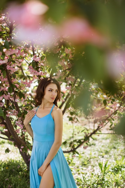 Frau am blühenden Sakura-Baum auf Natur