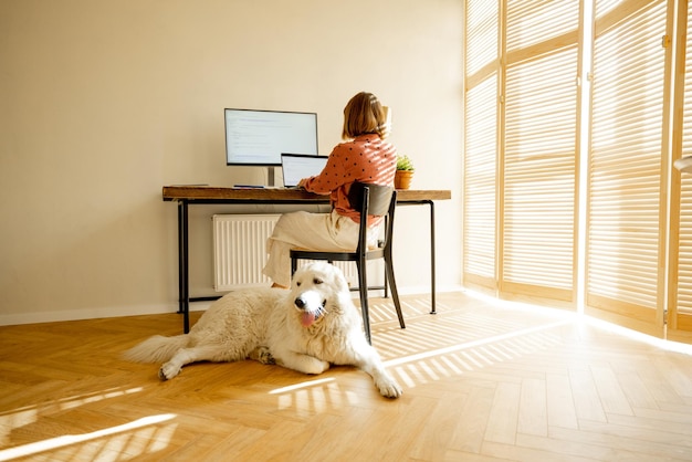 Frau arbeitet online an Computern zu Hause