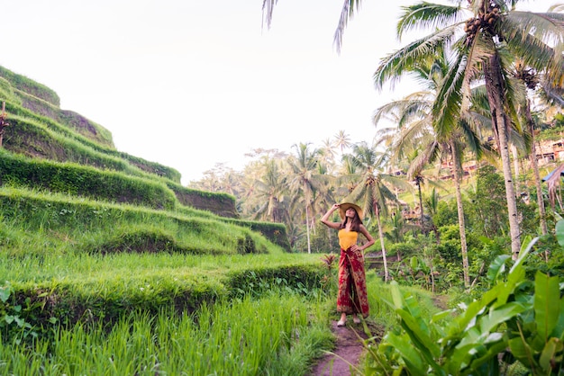 Frau bei Tegalalang Reisterrasse in Bali