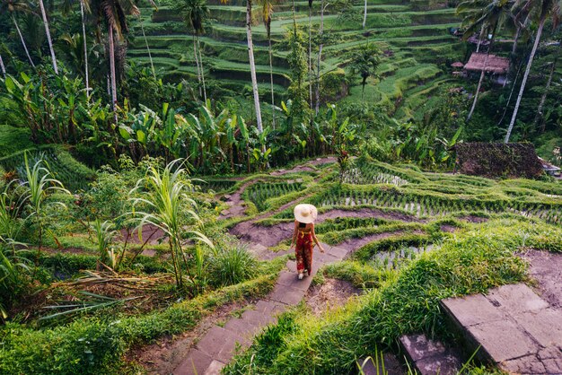 Frau bei Tegalalang Reisterrasse in Bali