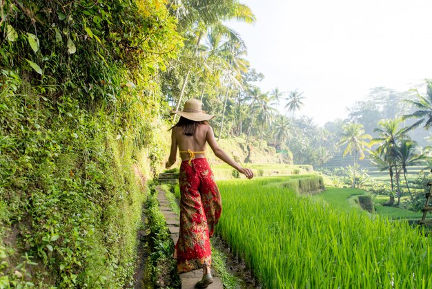 Frau bei Tegalalang Reisterrasse in Bali