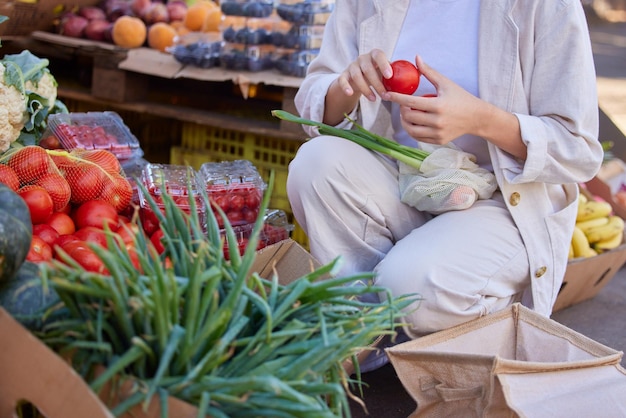 Frau beim Einkaufen und gesunde Lebensmittel Obst und Gemüse auf dem veganen Bauernmarkt umweltfreundliches Lebensmittelgeschäft oder Lebensstil der Nachhaltigkeit Nahaufnahme der Kundenhände mit einer Auswahl an Bio-Einzelhandelsprodukten