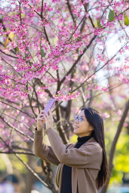 Frau benutzt Handy, um ein Foto auf dem Sakura-Baum zu machen