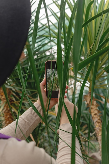 Frau benutzt Smartphone, um Foto von grünen Pflanzen im Gewächshaus zu machen.