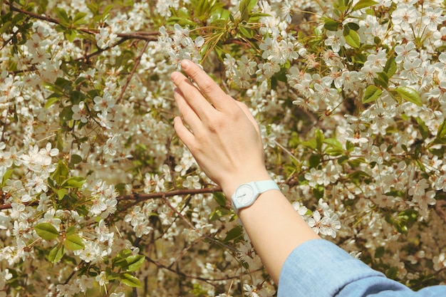 Frau berührt blühenden Baum. Sonniger Frühlingstag