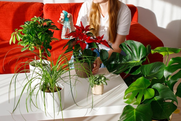 Foto frau besprüht zu hause indoor-pflanzen